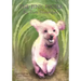 The Pink Poodle