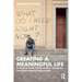 Creating a Meaningful Life: A Practical Guide for Counselors, Therapists, and Other Helping Professionals