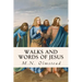 Walks and Words of Jesus