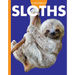 Curious about Sloths