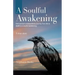 A Soulful Awakening: One Woman's Extraordinary Journey From Life to Death to a Soulful Awakening