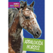 Appaloosa Horses