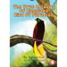 The True Colours Of Raggiana Bird Of Paradise