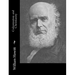 Colonization and Christianity