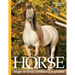 Horse Images for Artist's Reference and Inspiration: Perfect Bound Edition
