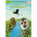 Where Is the Amazon?