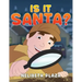 Is it Santa?