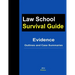 Evidence: Outlines and Case Summaries