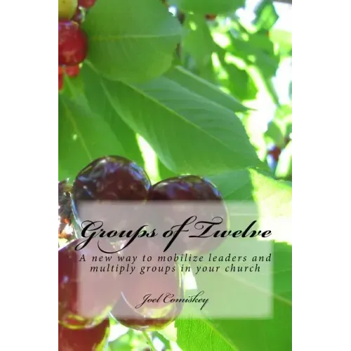 Groups of Twelve: A new way to mobilize leaders and multiply groups in your chur