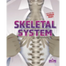 Skeletal System