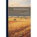 Winter Wheat