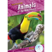 Animals of the Rain Forest