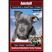 Amstaff Training Book for Amstaff Dogs & Puppies By BoneUP DOG Training: Are You Ready to Bone Up? Easy Training * Fast Results American Staffordshire