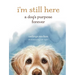 I'm Still Here: A Dog's Purpose Forever