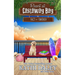 The Resort at Castaway Bay: Fact or Fantasy