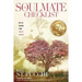 The Soulmate Checklist: Keys to Finding Your Perfect Partner
