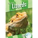 Lizards