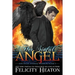 Her Sinful Angel