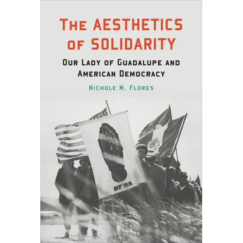 The Aesthetics of Solidarity: Our Lady of Guadalupe and American Democracy