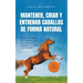 Mantener, criar y entrenar caballos de forma natural: El libro del caballo para disfrutar más de la equitación y estrechar el vínculo con tu caballo -