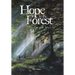 Hope in the Forest: My time in the Motels