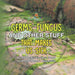 Germs, Fungus and Other Stuff That Makes Us Sick A Children's Disease Book (Learning about Diseases)