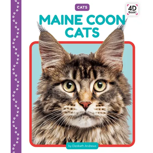 Maine Coon Cats
