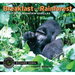 Breakfast in the Rainforest: A Visit with Mountain Gorillas