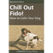Chill Out Fido!: How to Calm Your Dog