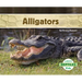 Alligators