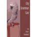 City Grammar Case