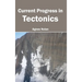 Current Progress in Tectonics