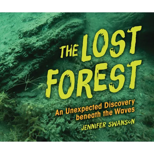 The Lost Forest: An Unexpected Discovery Beneath the Waves