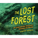 The Lost Forest: An Unexpected Discovery Beneath the Waves