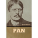 Pan