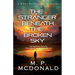 The Stranger Beneath the Broken Sky
