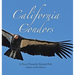 California Condors: A Day at Pinnacles National Park