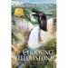 Choosing Yellowstone
