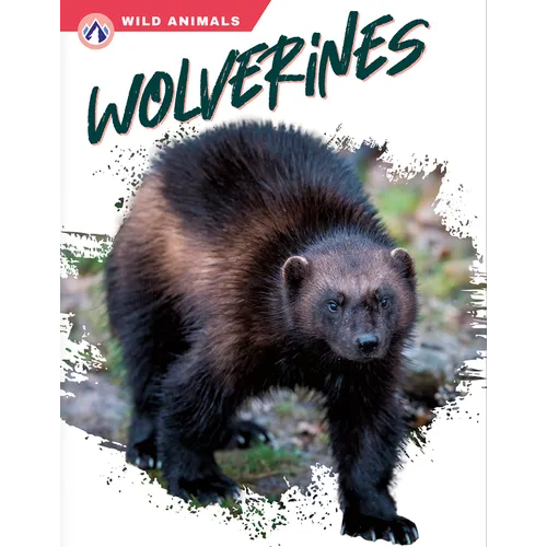 Wolverines