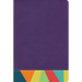 Rvr 1960 Biblia de Estudio Arcoiris, Morado/Multicolor