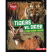 Tigers vs. Deer: Food Chain Fights