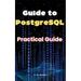 Guide to PostgreSQL: Practical Guide
