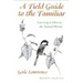 A Field Guide to the Familiar: Twenty Years of Photography on the Isles of Shoals