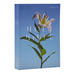 NRSV Catholic Edition Bible, Easter Lily Paperback (Global Cover Series): Holy Bible