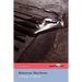 Coming To Flood (The Hollyridge Press Chapbook Series)