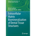 Extracellular Matrix Biomineralization of Dental Tissue Structures