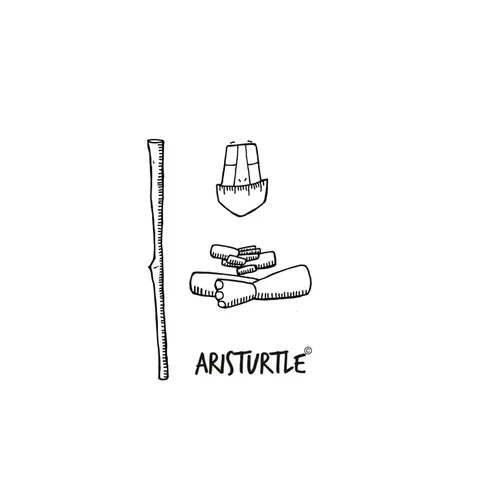 Aristurtle