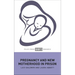 Pregnancy and New Motherhood in Prison