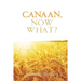 Canaan, Now What?