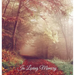 "In Loving Memory" Funeral Guest Book, Memorial Guest Book, Condolence Book, Remembrance Book for Funerals or Wake, Memorial Service Guest Book: HARDC